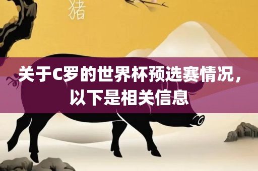 关于C罗的世界杯预选赛情况，以下是相关信息
