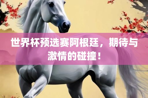 世界杯预选赛阿根廷，期待与激情的碰撞！广西贺州市华昌新材料有限公司