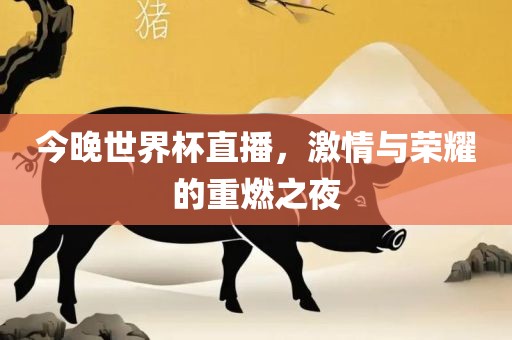今晚世界杯直播，激情与荣耀的重燃之广西贺州市华昌新材料有限公司夜