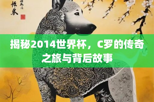 揭秘2014世界杯，C罗的传奇之旅与背后故事