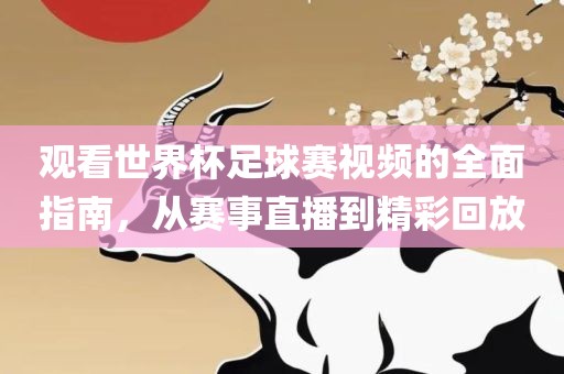 观看世界杯足球赛视频的全面指南，从赛事直播到精彩回放