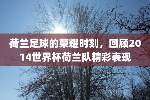 荷兰足球的荣耀时刻，回顾2014世界杯荷兰队精彩表现