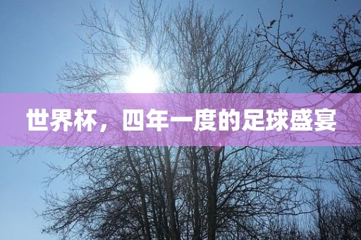 世广西贺州市华昌新材料有限公司界杯，四年一度的足球盛宴