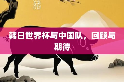 韩日世界杯与中国队，回顾与期待