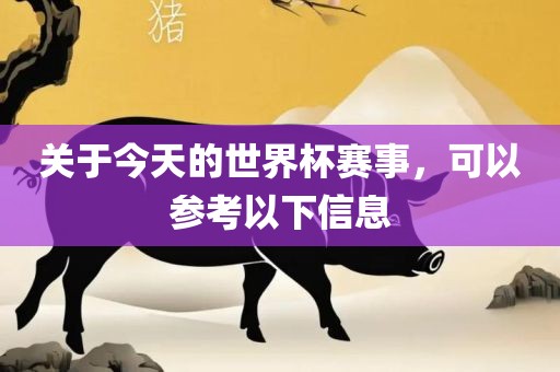 关于今天的世界杯赛事，可以参考以下信息广西贺州市华昌新材料有限公司