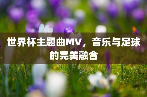 世界杯主题曲MV，音乐与足球的完美融合广西贺州市华昌新材料有限公司