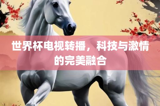 世界杯电视转播，科技与激情的完美融合广西贺州市华昌新材料有限公司