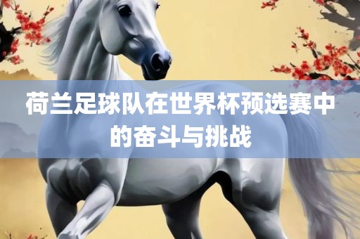 荷兰足球队在世界杯预选赛中的奋斗与挑战