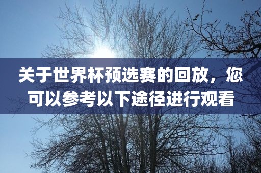 关于世界杯预选赛的回放，您可以参考以下途径进行观看