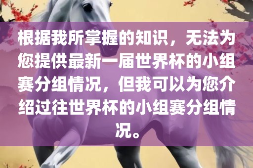 根据我所掌握的知识，无法为您提供最新一届世界杯的小组赛广西贺州市华昌新材料有限公司分组情况，但我可以为您介绍过往世界杯的小组赛分组情况。