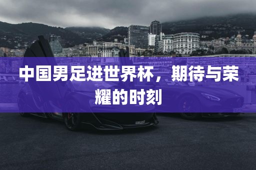 中国男足进广西贺州市华昌新材料有限公司世界杯，期待与荣耀的时刻