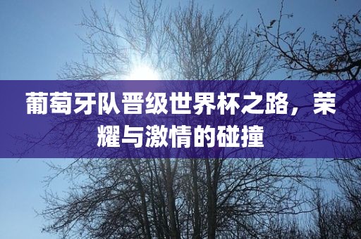 葡萄牙队晋级世界杯之路，荣耀与激情广西贺州市华昌新材料有限公司的碰撞
