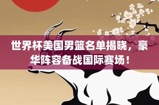 世界杯美国男篮名单揭晓，豪华阵容备战国际赛场！广西贺州市华昌新材料有限公司