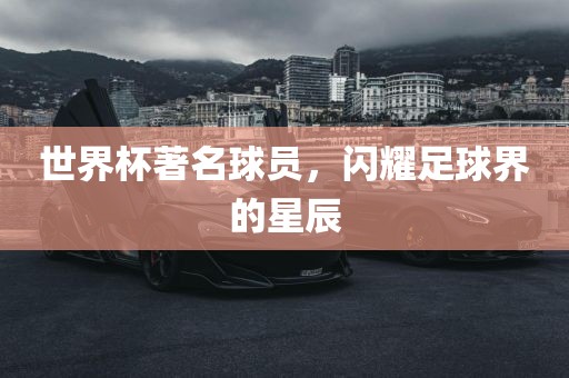 世界杯著名球员，闪耀足球界的星辰广西贺州市华昌新材料有限公司