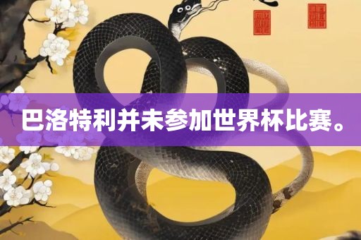 巴洛特利并未参加世界杯比赛。广西贺州市华昌新材料有限公司