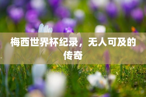 梅西世界杯纪录，无人可及的传奇广西贺州市华昌新材料有限公司