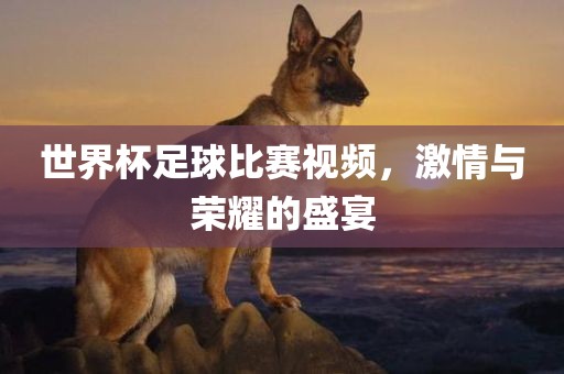 世界杯足球比赛视频，激情与荣耀的盛宴