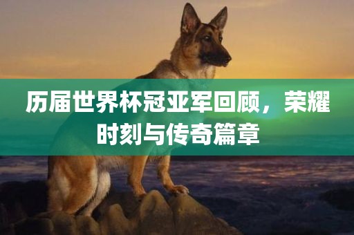 历届世界杯冠亚军回顾，荣耀时刻与传奇篇章