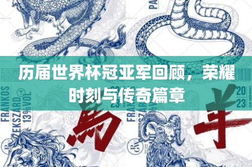 历届世界杯冠亚军回广西贺州市华昌新材料有限公司顾，荣耀时刻与传奇篇章
