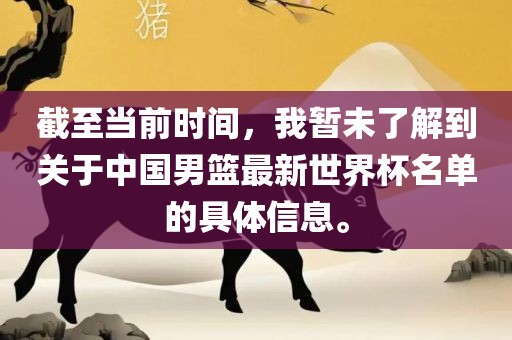 截至当前时间，我暂未了解到关于中国男篮最新世界杯名单的具体信息。