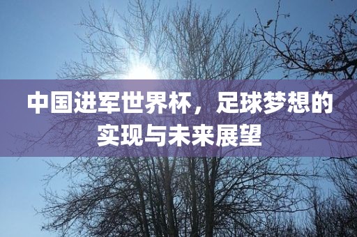 中国进军世界杯，足球梦想的实现与未来展望