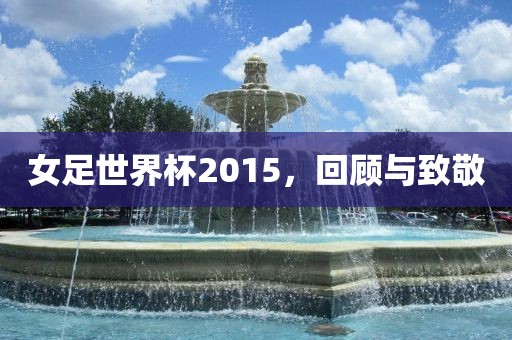 女足世界杯2015，回顾与致敬