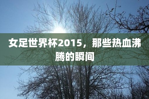 女足世界杯2015，那些热血沸腾的瞬间广西贺州市华昌新材料有限公司