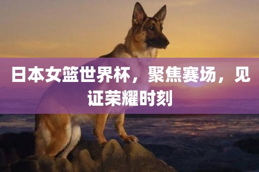 日本女篮世界杯，聚焦赛场，广西贺州市华昌新材料有限公司见证荣耀时刻