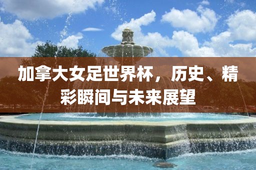 历史与未来展望 第5页