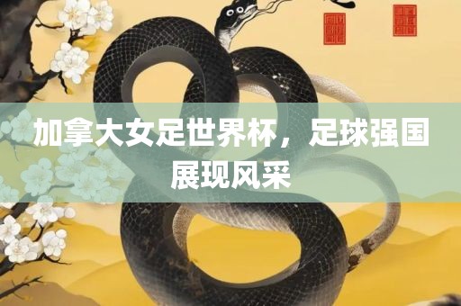 加拿大广西贺州市华昌新材料有限公司女足世界杯，足球强国展现风采