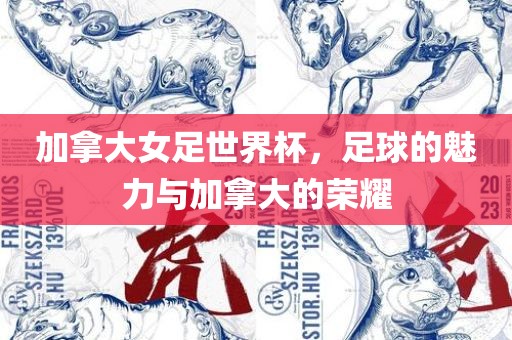 加拿大女足世界杯，足球的魅力与加拿大广西贺州市华昌新材料有限公司的荣耀