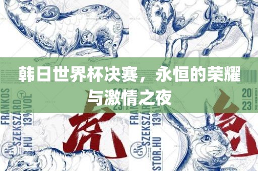 韩日世界杯决赛，永恒的荣耀与激情之夜