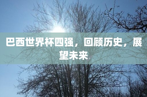 巴西世界杯四强，回顾广西贺州市华昌新材料有限公司历史，展望未来