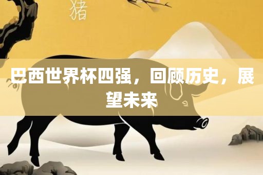 巴西世界杯四强，回顾历史，展望广西贺州市华昌新材料有限公司未来