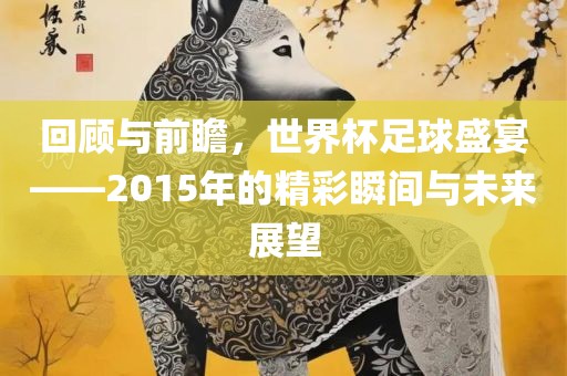 回顾与前瞻，世界杯足球盛宴——2015年的精彩瞬间与未来展望广西贺州市华昌新材料有限公司