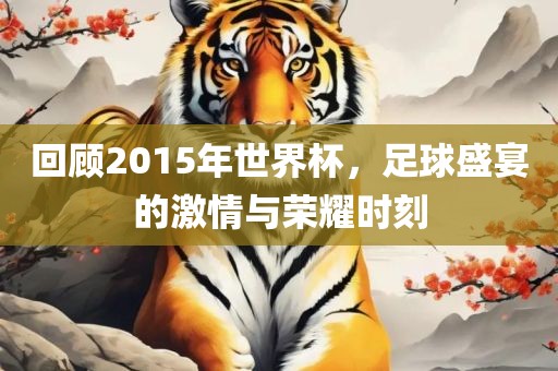 回顾2015年世界杯，足球盛宴的激情与荣耀时刻广西贺州市华昌新材料有限公司
