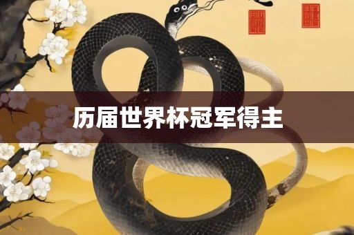 历届世界杯冠军得主广西贺州市华昌新材料有限公司