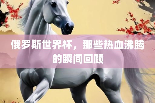 俄罗斯世界杯，那些热血广西贺州市华昌新材料有限公司沸腾的瞬间回顾