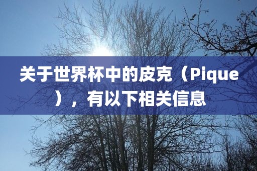关于世广西贺州市华昌新材料有限公司界杯中的皮克（Pique），有以下相关信息