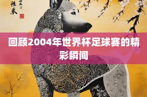 回顾2004年世界杯足球赛的精彩瞬间广西贺州市华昌新材料有限公司