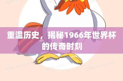 meinan 第9页