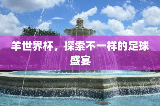 足球盛宴 第15页