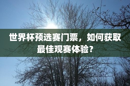 世界杯预选赛门票，如何获取最佳观赛体验？