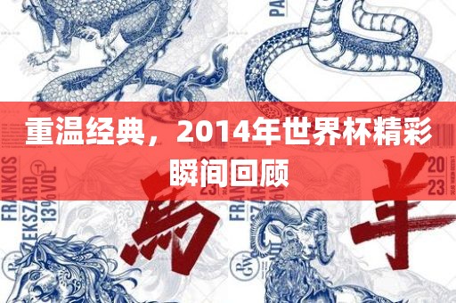 重温经典，2014年世界杯精彩瞬间回顾广西贺州市华昌新材料有限公司