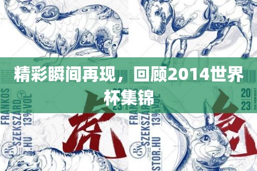 精彩瞬间再现，回顾2014世界杯集锦广西贺州市华昌新材料有限公司