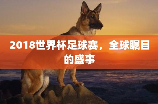 2018世界杯足球赛，全球瞩目的盛事广西贺州市华昌新材料有限公司