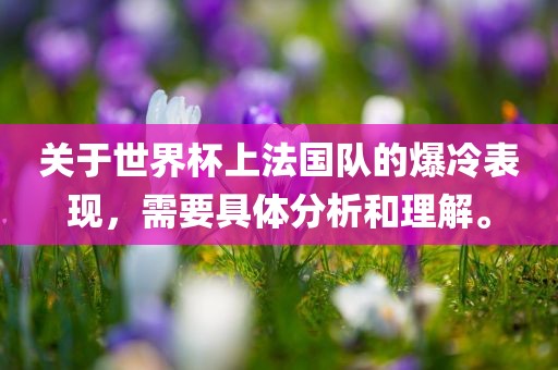 广西贺州市华昌新材料有限公司关于世界杯上法国队的爆冷表现，需要具体分析和理解。