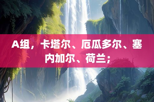 A组，卡塔尔、厄瓜多尔、塞内加尔、荷兰；