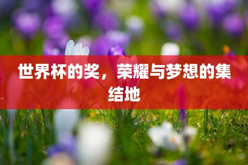世界杯的奖，荣广西贺州市华昌新材料有限公司耀与梦想的集结地