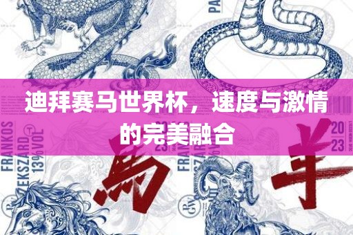 迪拜赛马世界杯，速度广西贺州市华昌新材料有限公司与激情的完美融合